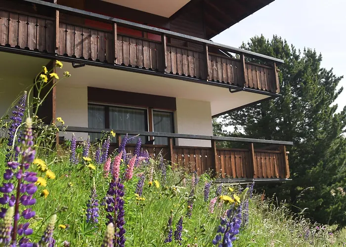 Christina 7 Ароза