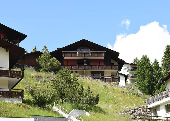 Christina 7 Ароза