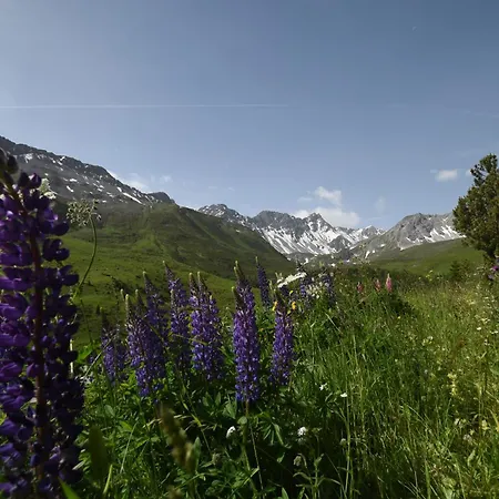 Appartement Christina 7 *